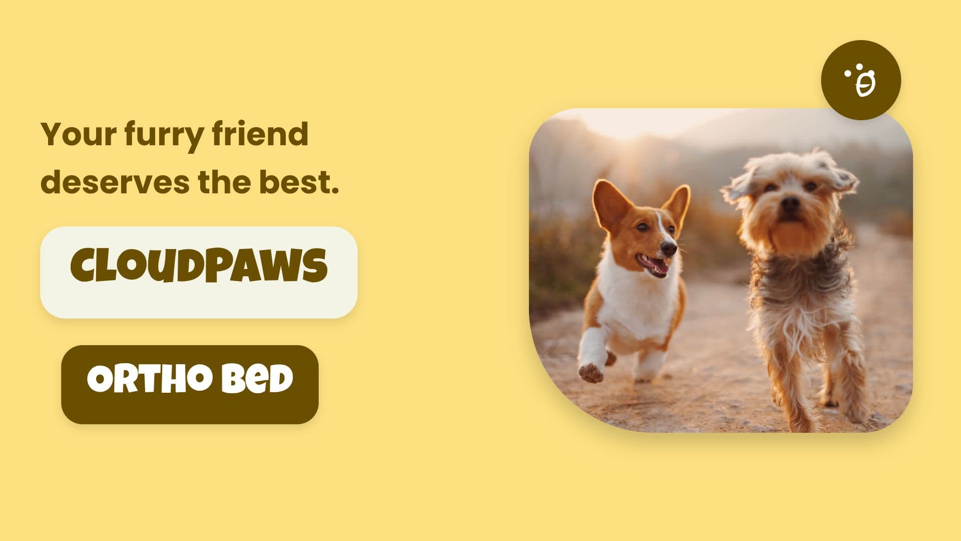 Dog Ad Video